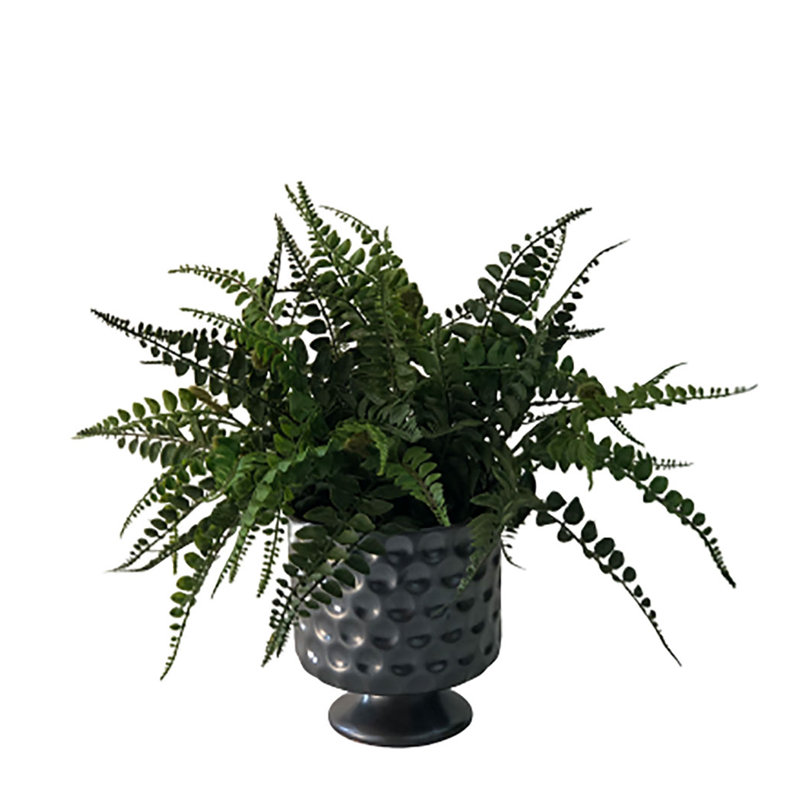 Primrue 4 Piece Artificial Fern Plant in Vase Set Wayfair